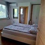 Vidic Apartma *