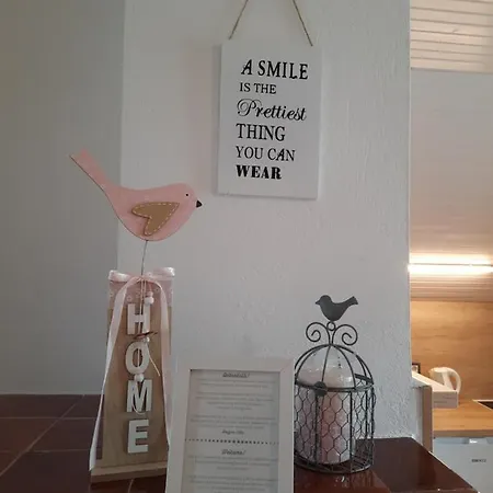 Apartment Vidic *