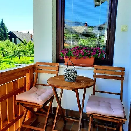 Appartement Vidic *