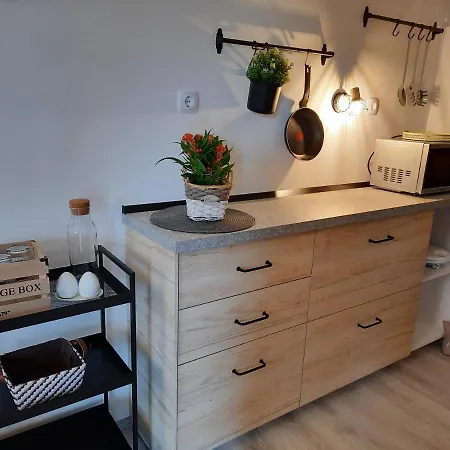 Apartment Vidic