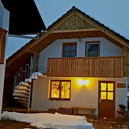 Apartment Vidic Bled