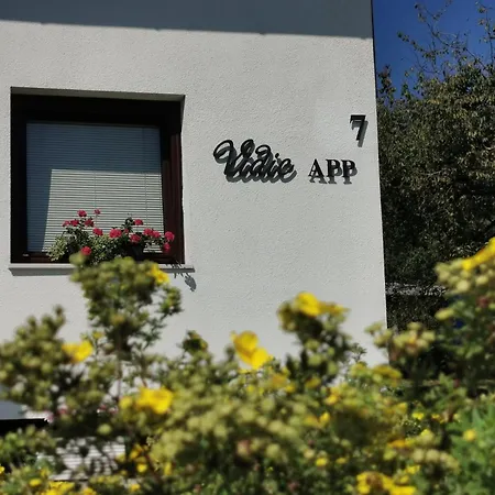 Vidic Appartement *