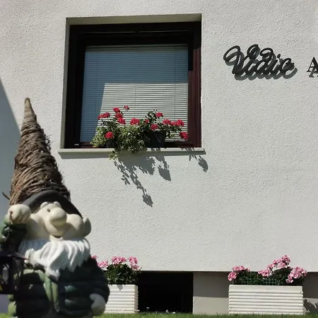 Vidic Apartment