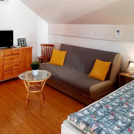 Vidic Apartment