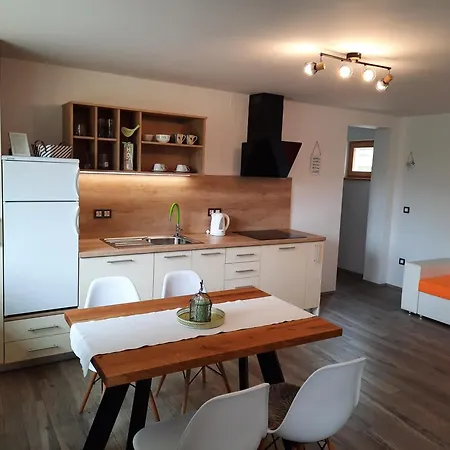 Vidic Apartment *