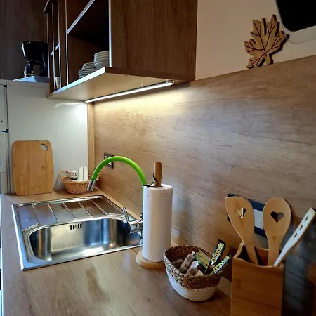 Apartment Vidic *