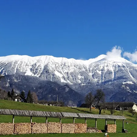 Vidic Lejlighed Bled