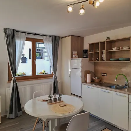 Apartamento Vidic Bled