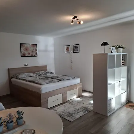 Vidic Apartamento *