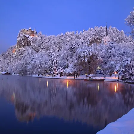 Vidic Apartment Bled