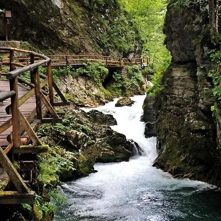 Lejlighed Vidic Bled