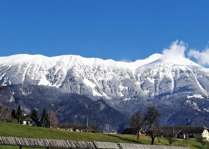 Vidic شقة بليد