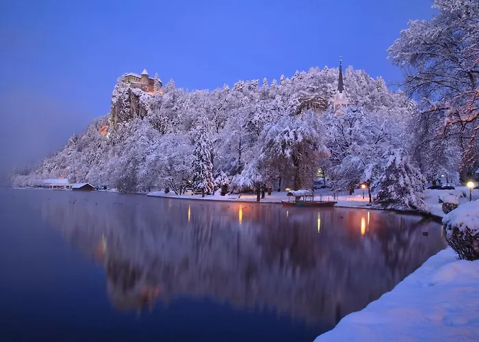 Vidic Apartment Bled