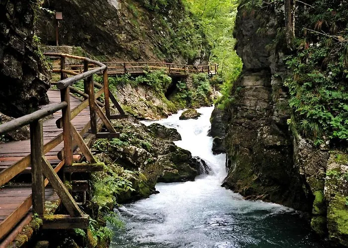 דירה Vidic בלד